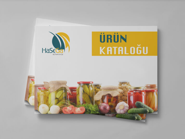Hasega | Katalog Tasarımı