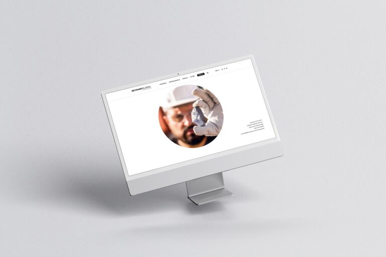 Reynard | Web Tasarım